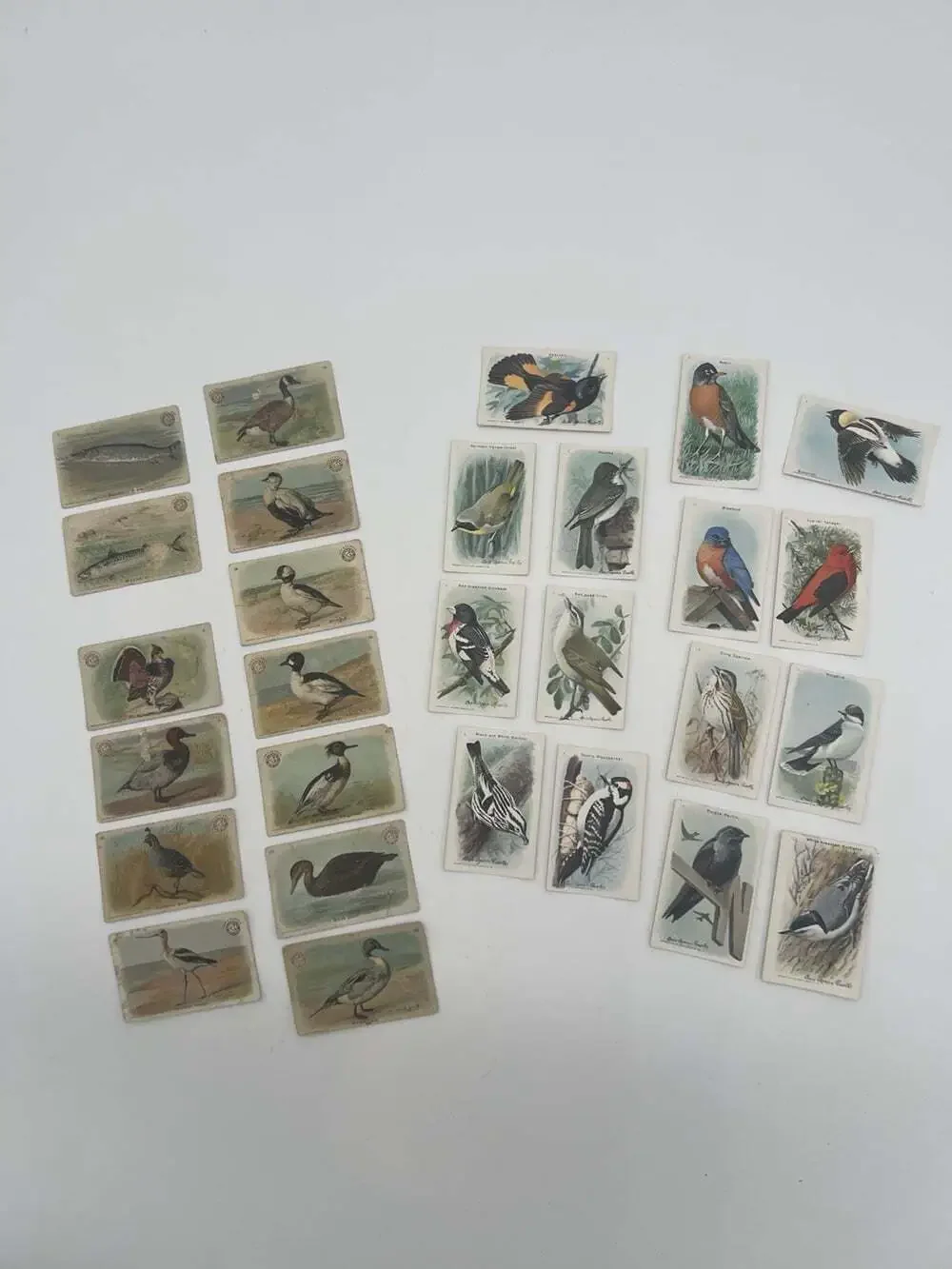 Vintage Arm & Hammer Church & Dwight Advertising Trade Cards Lot 28 Birds Fish
